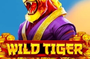 Wild Tiger