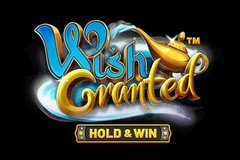 Wish Granted